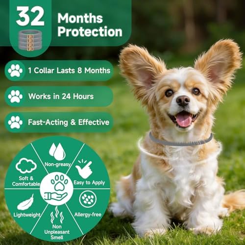 4 Pack Flea Collar for Dogs, 32 Months Flea and Tick Prevention for Dogs