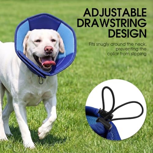 Dog Cone Soft Cone for Dogs to Stop Licking