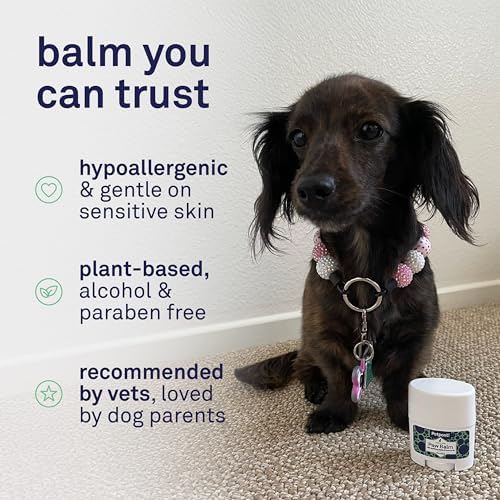 Petpost | Paw Balm for Dogs - Nourishing Cream Soothes Itchy, Dry Dog Paws with Moisturizing Ingredients - Organic Coconut Oil, Jojoba Oil, and Shea Butter 0.64 oz.