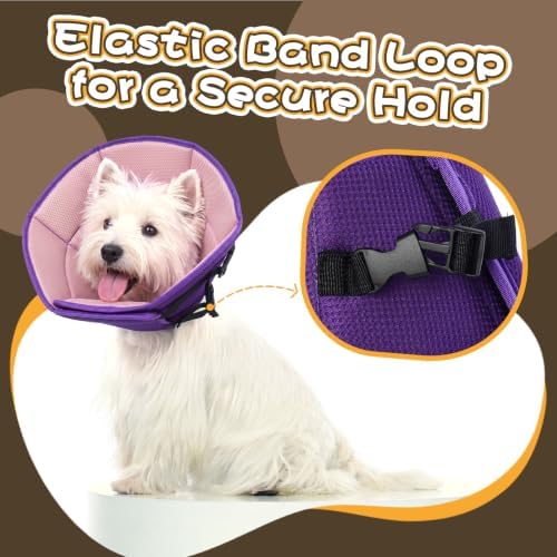 Allroaring Adjustable Dog Cone for Spay, Comfy Recovery Collar Purple L
