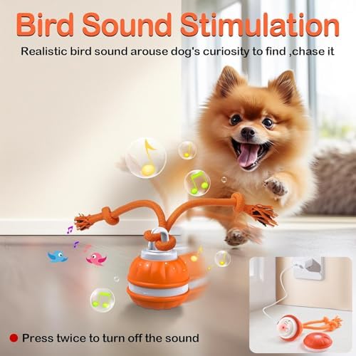 P06 Smart Interactive Dog Toys Dog Balls with Rope for Small Medium Dogs