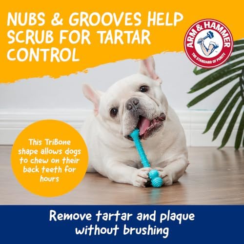 Arm & Hammer Nubbies T-Bone Dental Dog Chew Toy, Peanut Butter Flavor, 2-Pk