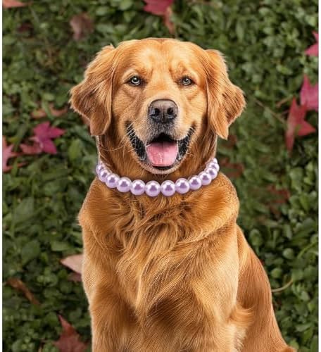Chunky Pearl Dog Necklace (Beads 20mm),Elegant Classic Super Big Pearl Collar Necklace Accessories for Medium Large Dogs Occasions and Gatherings (Purple, XL(Neck Girth 18.5''-20''))