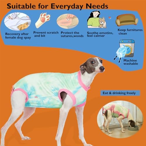 Recovery Suit for Female Dogs, Dog Cone Alternative After Spay