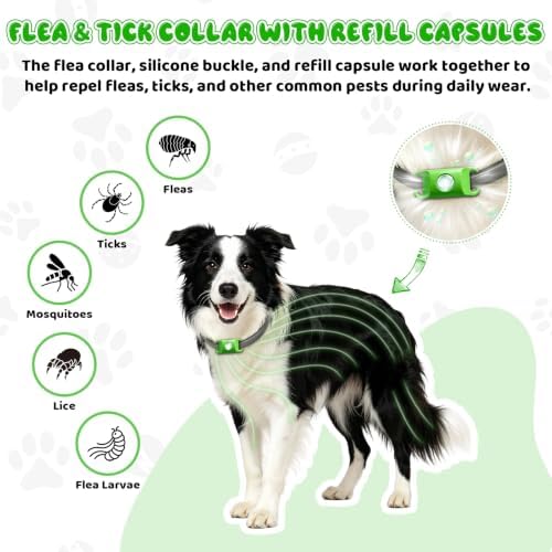 Natural Flea and Tick Collar Kit for Dogs, 1 Collar with Silicone Buckle and 4 Capsules, Water-Resistant Dog Flea & Tick Collar for Small Medium Large Dogs