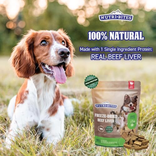 Nutri Bites Freeze Dried Beef Liver Dog & Cat Treats, Single Ingredient (2 Pack)