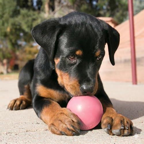 KONG Puppy Ball with Hole, Teething Toy, for Medium/Large Puppies, Pink