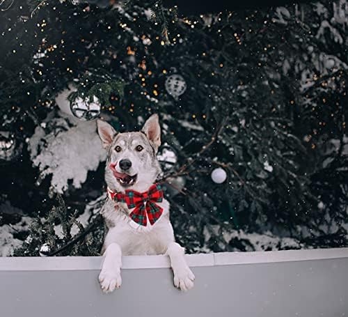 DOGWONG Christmas Dog Collar with Sailor Bow tie, Red Plaid Dog Collar Soft Durable Adjustable Cotton Red Green Tartan Puppy Collar for Small Medium Large Dog
