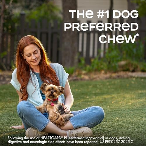 HEARTGARD® Plus (ivermectin/pyrantel) Real-Beef Chewables for Dogs up to 25 lbs (Blue Box) 1 Month Supply of Chews (Heartworm Disease Preventive)