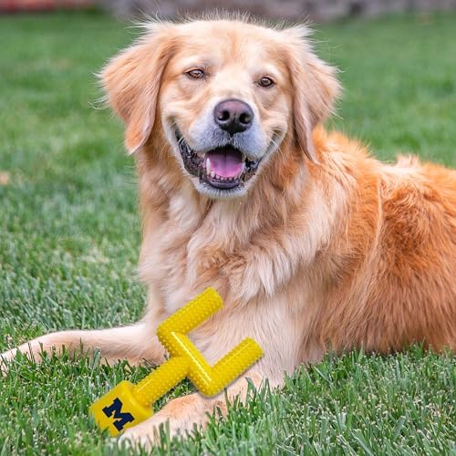 NCAA Michigan Wolverines Mega-Chew Hard Nylon Bacon-flavored Dog Bone Football Goal-Post Chew Toy. Interactive, Tasty & Fun Dog Chew Toy. Indestructible, Strong, Tough & Durable Pet Chew Toys