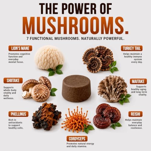 Turkey Tail Mushroom for Dogs - 250 Chews - Dog Lipoma Mushroom Supplement