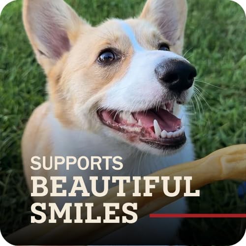 Redbarn Pet Products 100% Natural Large 12" Beef Collagen Sticks for Dogs - Long Lasting Low-Odor Alternative to Traditional Rawhide & Bully Sticks-Supports Healthy Joints, Skin, & Coat - 6 Count