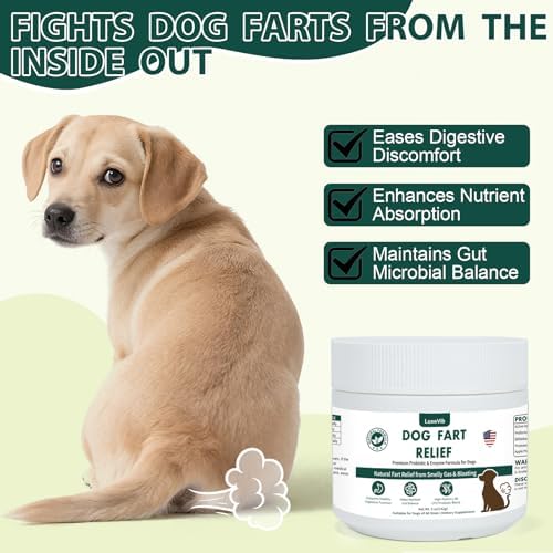 Dog Fart Remedy with 4B CFU Pediococcus Acidilactici Probiotics & Digestive Enzymes, Helps Reduce Smelly Gas & Bloating, Supports Dog Gut Health & Digestive Balance, Powder for Dogs – 5 oz