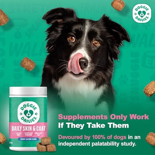 Doggie Dailies Skin & Coat Soft Chews for Dogs, Salmon Oil, 225 Count