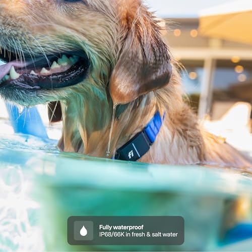 Fi Series 3+ Dog GPS Collar, X-Small Pink Dog Tracker, 12 Months Included | Live 24/7 location updates, escape alerts, activity and sleep insights, waterproof steel build, LED night light