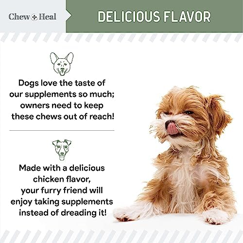 All in 1 Dog Vitamins and Supplements, 120 Soft Chew Multivitamins with Glucosamine, Probiotics, Omega Fish Oil -for Skin, Coat, Hip, Joint & Gut Health -Senior, Puppy, Large & Small Dogs