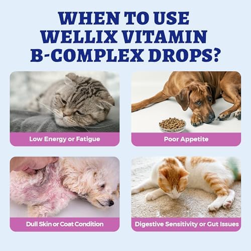 Wellix 4.06 fl oz Vitamin B Complex Drops with Taurine for Dogs and Cats