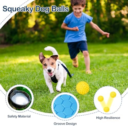 2 Pack Indestructible Squeaky Dog Balls for Aggressive Chewers, Interactive Dog Toys for Teething, Relieving Anxiety. Chew Toy for Large, Medium Breeds, Outdoor Rubber Balls.