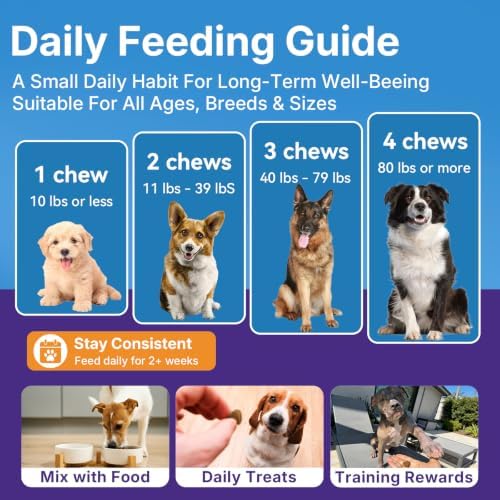 Dog Joint Supplement, Hip and Joint Supplement with Glucosamine Chondroitin