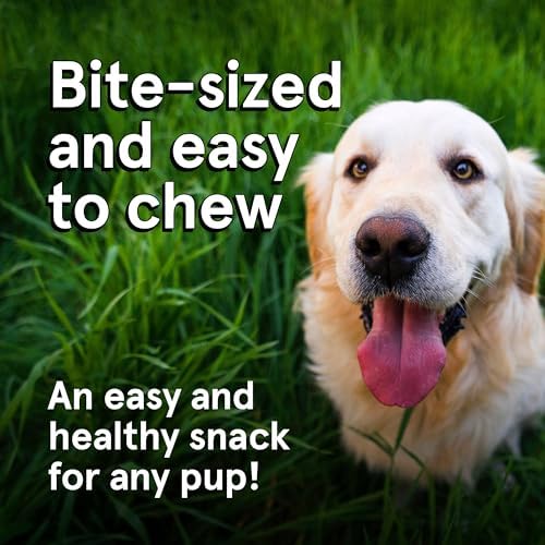 TRMC Real Meat Dog Treats - 12oz Bag of Bite-Sized Air-Dried Lamb Jerky for Dogs - Grain-Free Jerky Dog Treats, Free-Range, Grass Fed Lamb - All-Natural High Protein