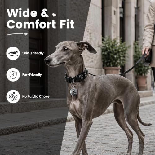 Rhinestone Dog Collar with QR ID Tag, Ostrich-Embossed, Black, M | Crystal Dog Collar with Ostrich-Embossed Texture, Adjustable Waterproof Fit and QR Scan Pet ID for Stylish Daily Wear