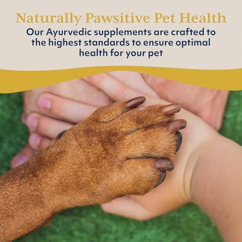 Ayush Pet Boswelya Plus, Boswellia for Dogs, 90 Servings