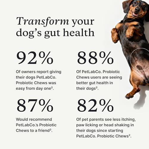 PetLab Co. Probiotic Chews for Dogs, 30 Soft Chews, 2-Pack