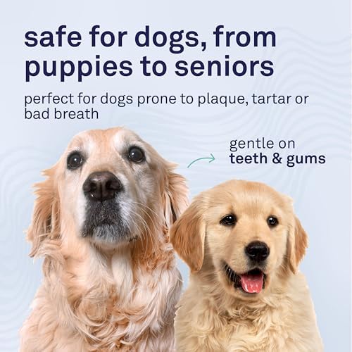 Petpost | Dental Solution for Dogs - Water Additive that Eliminates Bad Breath - Dirt, Gunk, and Tooth Buildup Gone - Natural Tooth Cleaning Solution 16 oz.