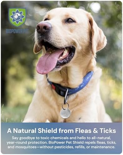 Shield Tag - Natural Flea & Tick Repellent Collar Tag for Dogs & Cats - Waterproof, Lasts 12 Months - Stainless Steel Pendant - Regular Tag (1Pack)