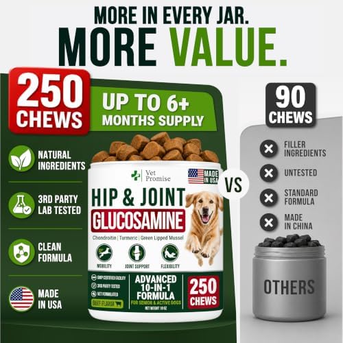 Glucosamine Hip & Joint Supplement for Dogs - 250 Chews with Chondroitin