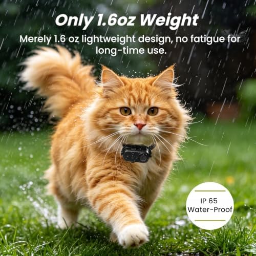 Cat Camera Collar 2K POV, 32GB Card Included, 5+ Hour Recording