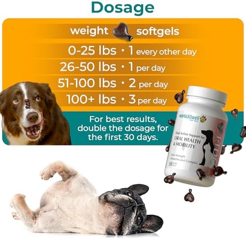 1-TDC Dual Action Joint & Gum Support Soft Gels for Dogs & Cats - 30 ct