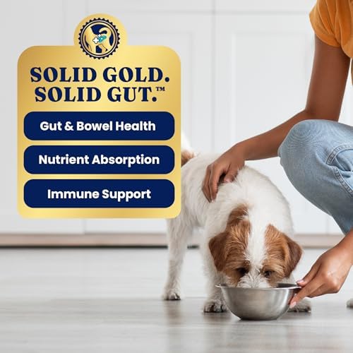 Solid Gold Beef Wet Dog Food, Meal & Topper, Adult & Puppies, 6ct Cans