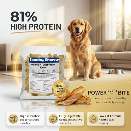 100% Natural Pet Treats 24 Pack Grass Fed Water Buffalo Ears for Dogs | High Protein Beef Cow Ears for Dogs Safe Rawhide Dog Treat Suitable for Small, Medium & Large Breeds Dogs Chews