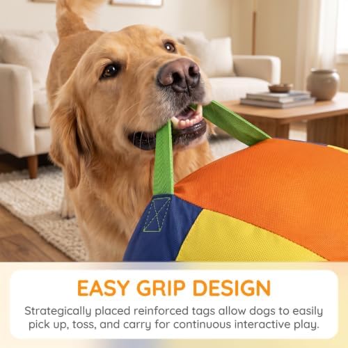 22" Herding Ball for Dogs & Horses, Inflatable PVC Training Toy