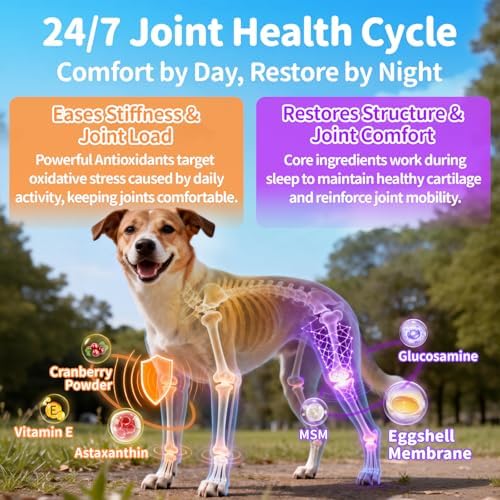 Dog Vitamins and Supplements - Day & Night 2 Pack, Beef, 150 Scoops