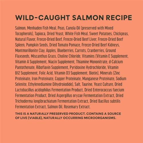 Instinct Raw Boost, Natural Dry Dog Food with Freeze Dried Pieces, High Protein, Grain Free Recipe - Real Salmon, 19 lb. Bag