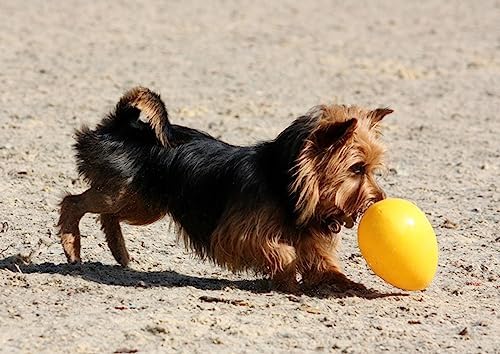 Jolly Pets Jolly Egg Dog Toy, 12 Inches/Large, Yellow (Pack of 2)