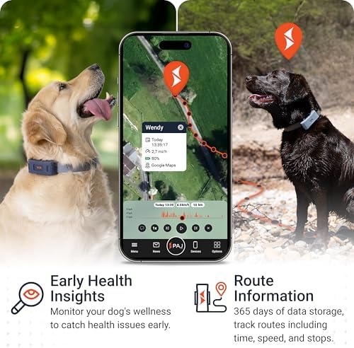 4G Dog GPS Tracker with Real-Time Location, Runaway Alerts, Activity Monitoring App, Waterproof Design & Rechargeable LED Dog Collar with 7 Color Modes, 27-Month Subscription Included – Grey Bundle