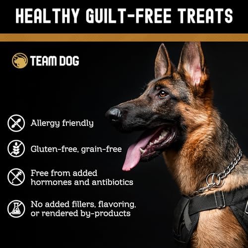 Team Dog Freeze Dried Salmon Dog Treats for Training | Healthy Gluten Free, Grain Free Dog Treats | No Added Fillers, Flavoring or by-Products | for All Breeds & Sizes | 5 Oz Salmon Bites
