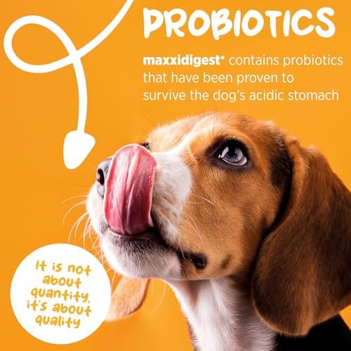 maxxipaws maxxidigest+ Dog Probiotics & Prebiotic Powder for Gut Health 7oz