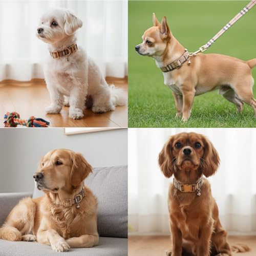 Yizepet Dog Collar and Leash - Adjustable pet Collar for Dogs with Metal Buckle Collar, Stylish Pattern for Small Medium or Large Boy and Girl Dog and Cat
