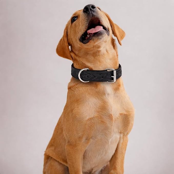 TARICO Genuine Leather Dog Collar with Engraved Floral Design for All Breeds, Heavy Duty Durable Metal Buckle Non Padded Adjustable Pet Collar - Black - Black (XL: Fits 19–23" Necks)