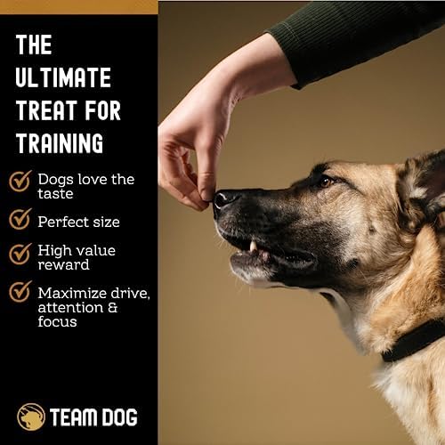Team Dog Freeze Dried Salmon Dog Treats for Training | Healthy Gluten Free, Grain Free Dog Treats | No Added Fillers, Flavoring or by-Products | for All Breeds & Sizes | 5 Oz Salmon Bites