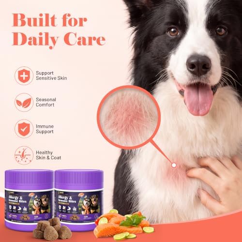 Dog Allergy Chews for Dogs - Skin & Coat, Digestive Health & Immune Support, Salmon Flavor, 2 Bottles, 240 Soft Chews