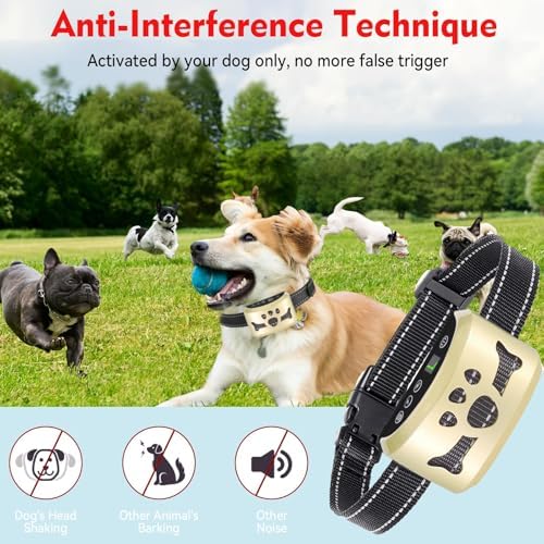 Humane Dog Bark Collar with Beep & Vibration for Small Medium Large Dogs | BXQ Smart Anti-Bark Collar with Recognition Chip & Auto Safety Shut-off, IP65 Waterproof Fast Charging Dog Training Collars