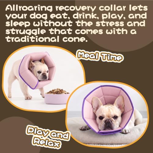 Allroaring Adjustable Dog Cone for Spay, Comfy Recovery Collar Purple L
