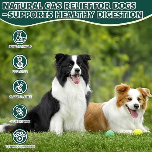 Dog Fart Remedy with 4B CFU Pediococcus Acidilactici Probiotics & Digestive Enzymes, Helps Reduce Smelly Gas & Bloating, Supports Dog Gut Health & Digestive Balance, Powder for Dogs – 5 oz