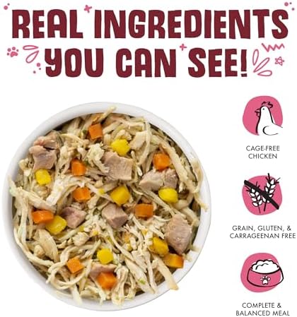 Weruva Classic Dog Food, Peking Ducken with Chicken & Duck in Gravy, 5.5oz Can (Pack of 24)