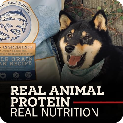 Redbarn Whole Grain Adult Dry Dog Food Kibble - Ocean Fish Recipe - Made in USA No Chicken Recipe with Functional Ingredients to Support Healthy Heart, Skin, Coat, Immunity & Digestion - 4lb